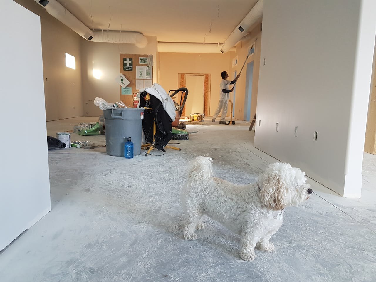 A propos Interior renovation scene with a painter working and a dog in the foreground.